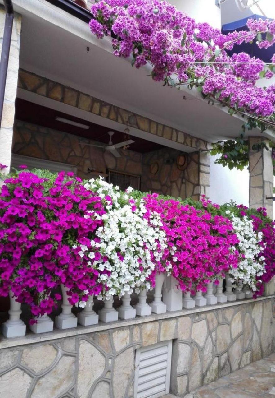 Apartments Dobri - 500M From Beach Nin Zewnętrze zdjęcie